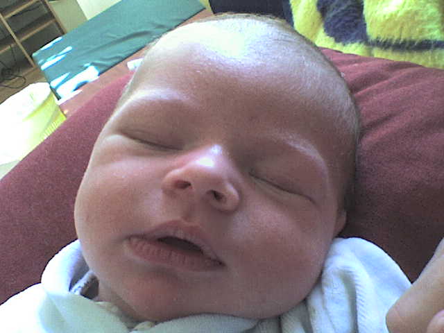 Mirko