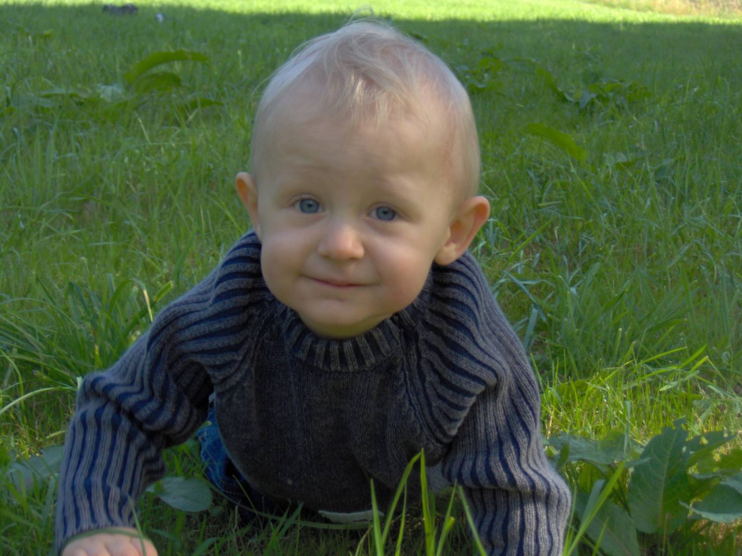 Colin