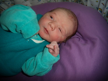 Andris