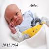Foto von Anton