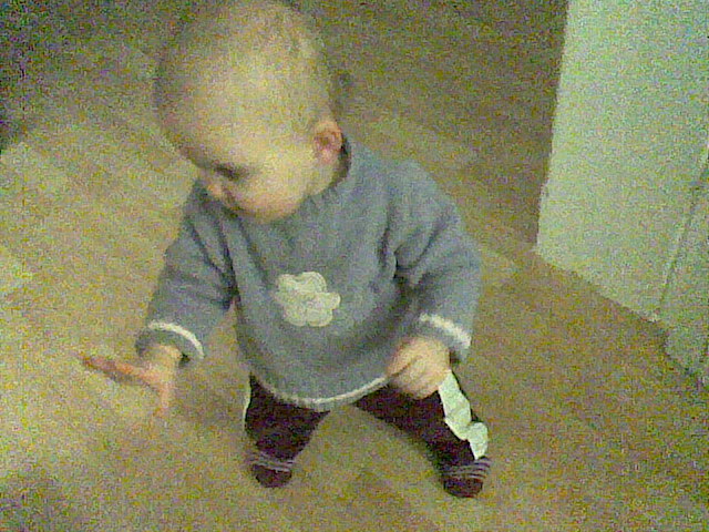 Anna-Lena