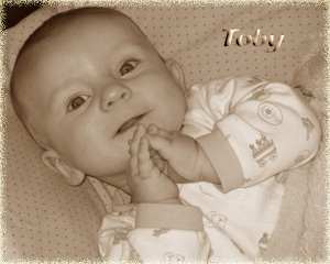 Toby