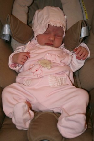 Foto von Svea