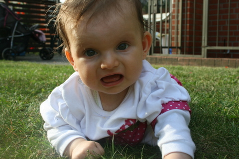 Ceyda