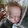 Foto von Linus