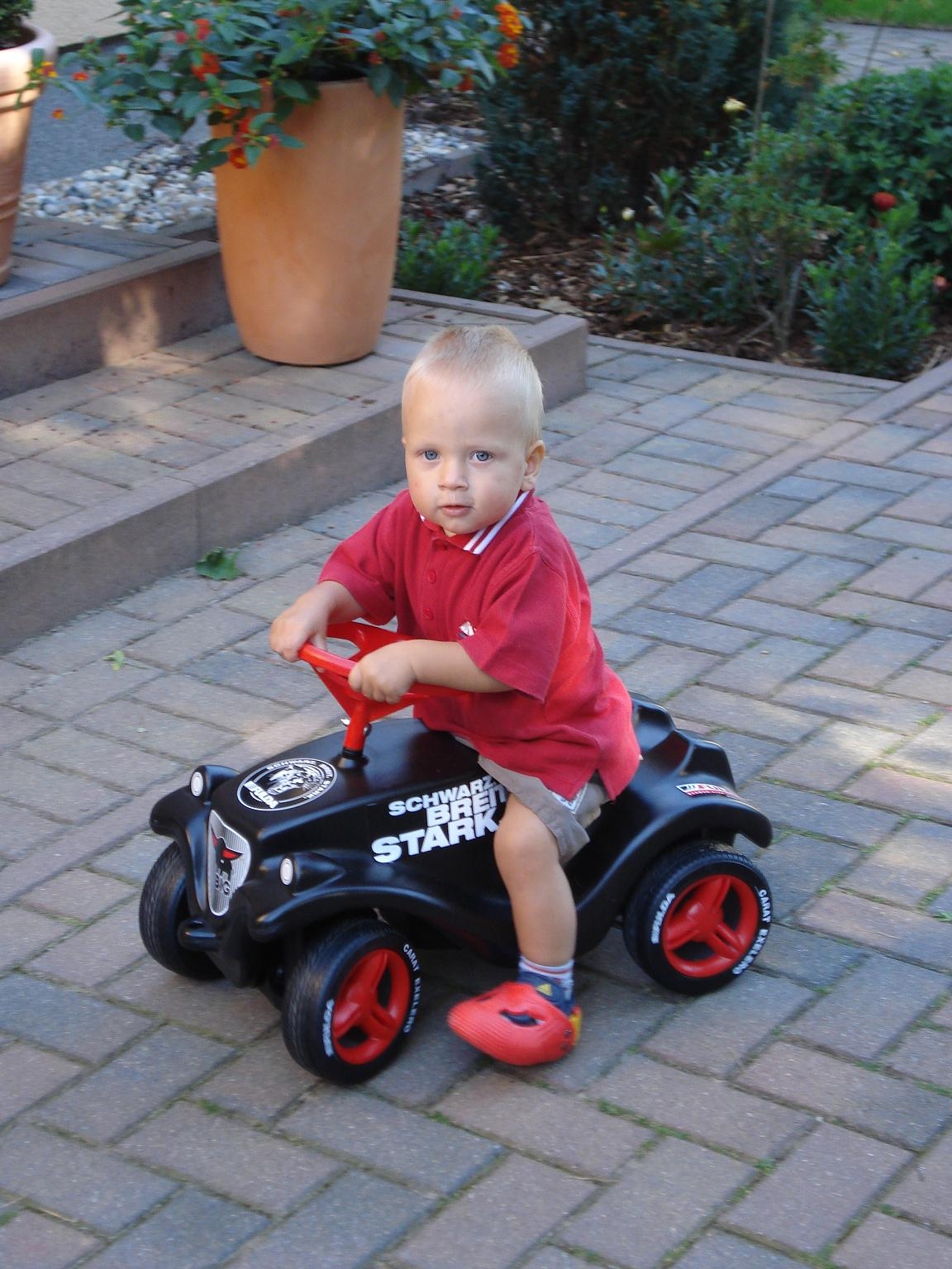 Leevi