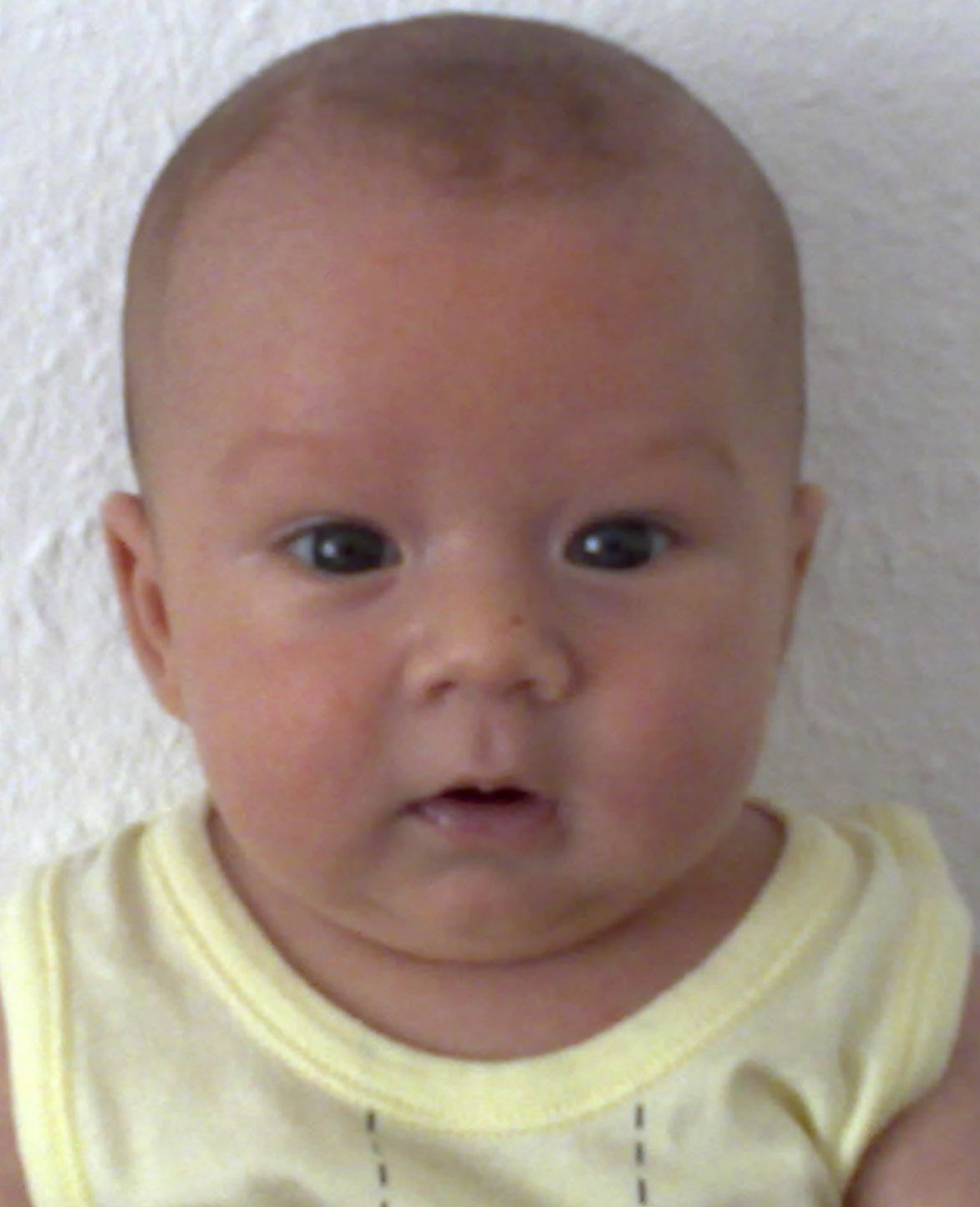 Taylan