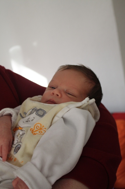 Julian