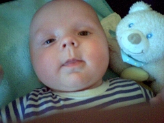 Finley