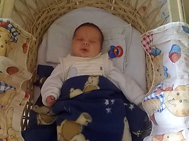 Jannis