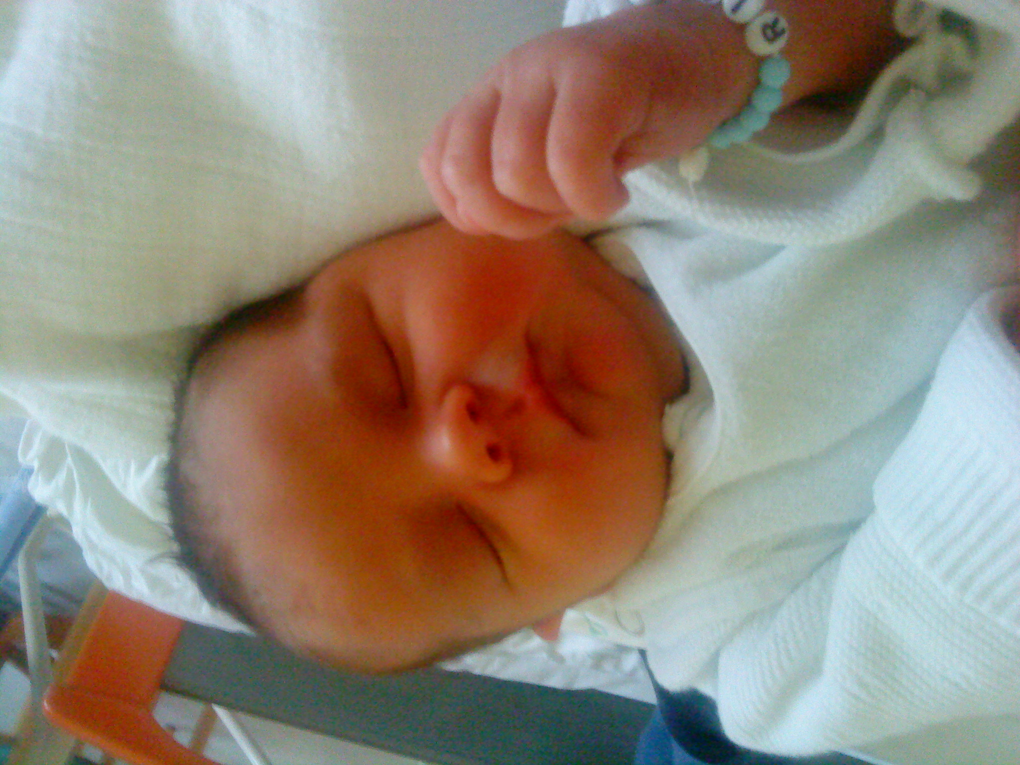 Nico