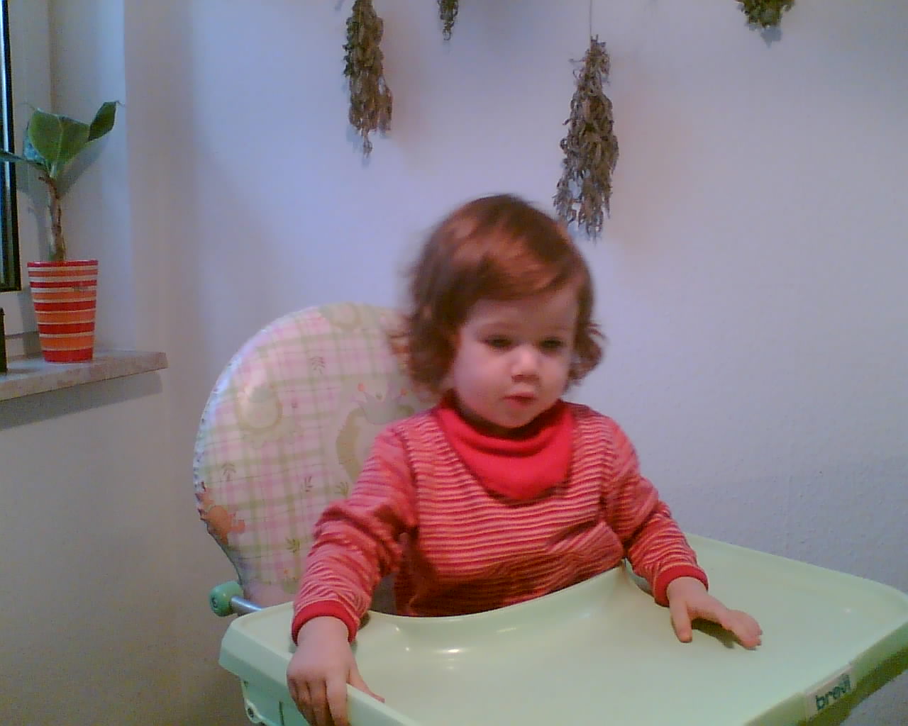 Rose-Anniina