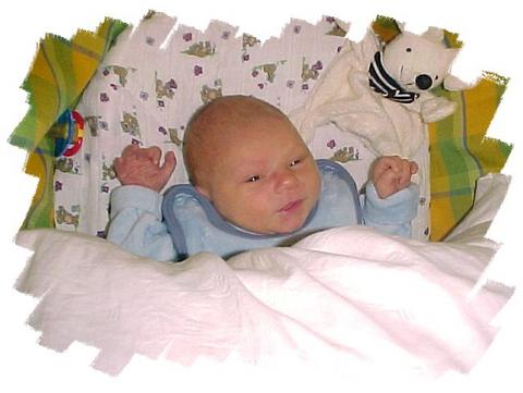 Romina