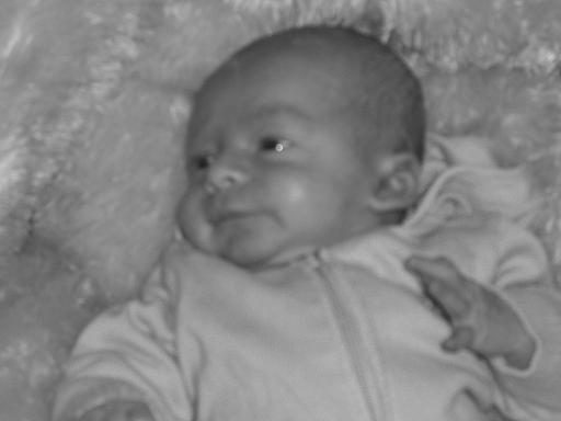 Fynn
