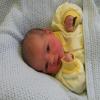 Babyalbum-Foto von Troja