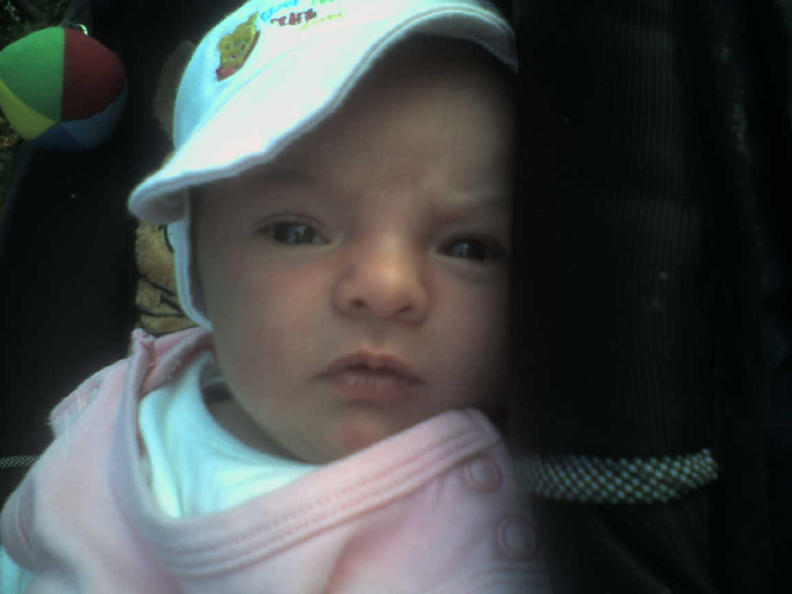 Foto von Svea