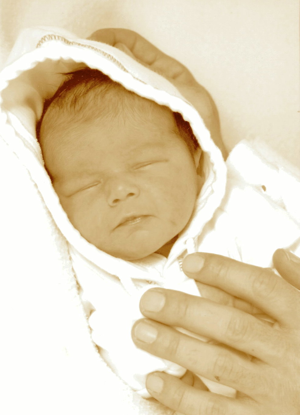 Talya