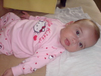 Aurelia