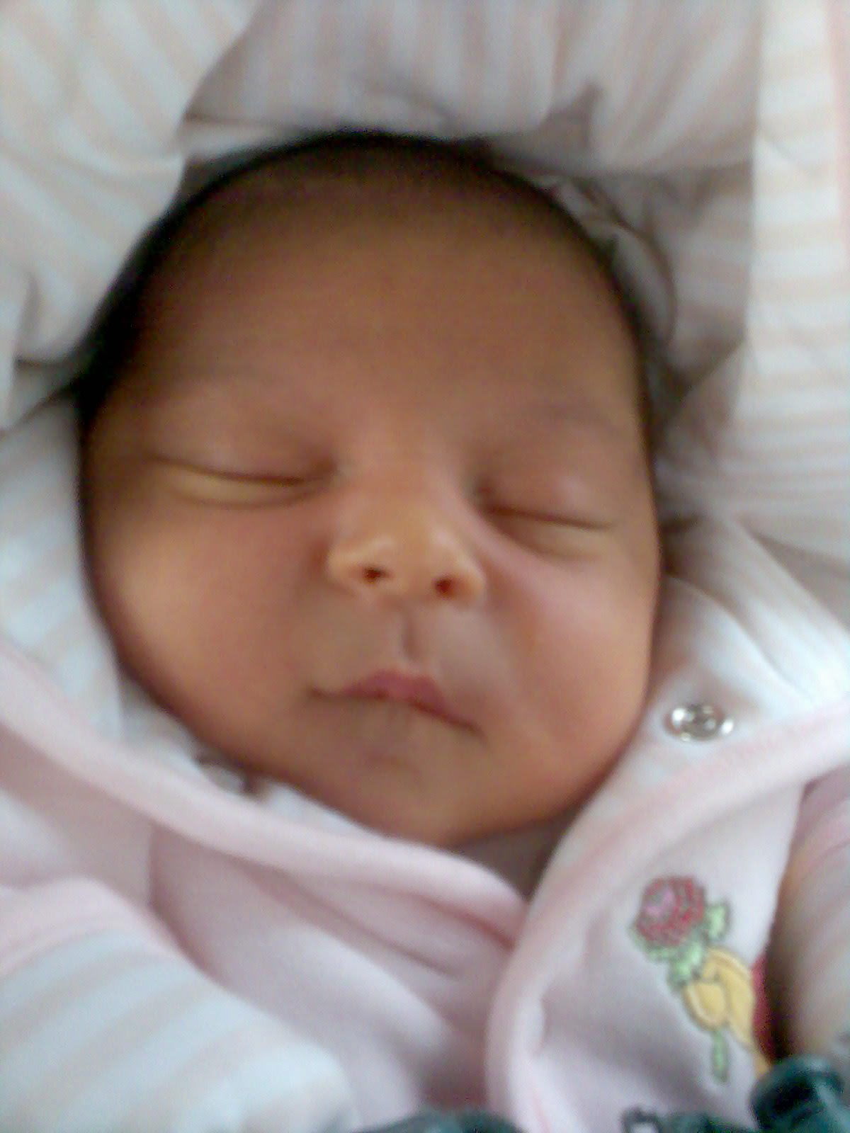 Ylenia