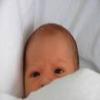 Babyalbum-Foto von Yan-Luca