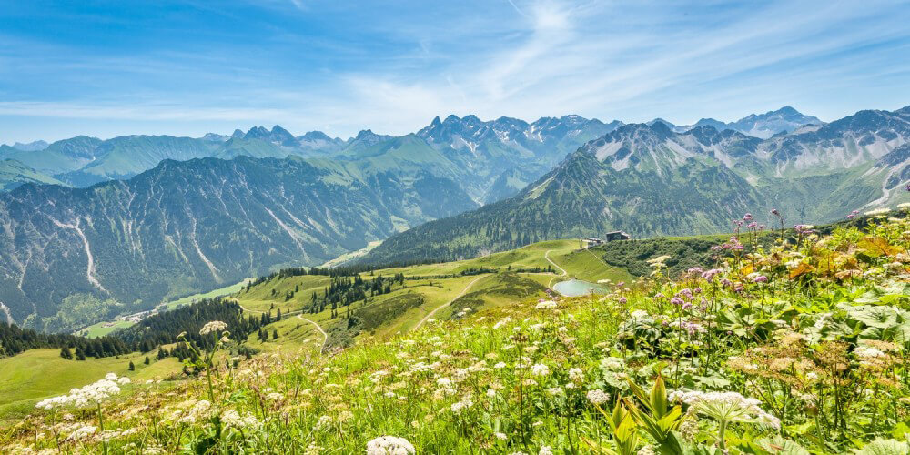 Fellhorn in den Allguer Alpen - Blumenwiese mit Blick auf Berge