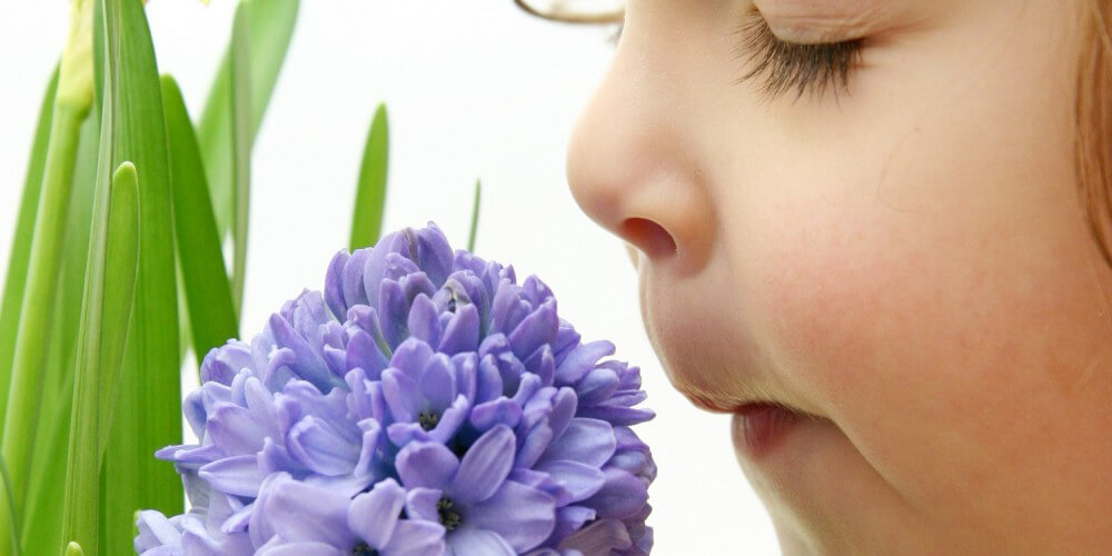 Nahaufnahme kleines Mädchen mit geschlossenen Augen riecht an violetter Blume