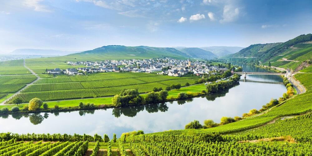 Flussschleife an der Mosel im Weinbaugebiet, Weinberge