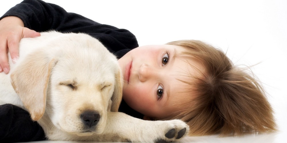 Kleines Mdchen liegt imt Labrador Welpe auf dem Boden, weier Hintergrund