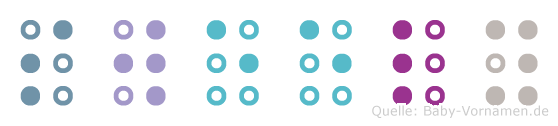 Sweely in Blindenschrift (Brailleschrift)