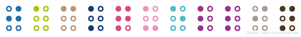Jackquellin in Blindenschrift (Brailleschrift)