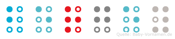 Bergey in Blindenschrift (Brailleschrift)