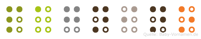 Pagnino in Blindenschrift (Brailleschrift)