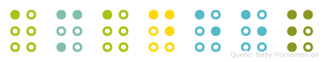 Amadeep in Blindenschrift (Brailleschrift)