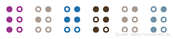Lijnis in Blindenschrift (Brailleschrift)