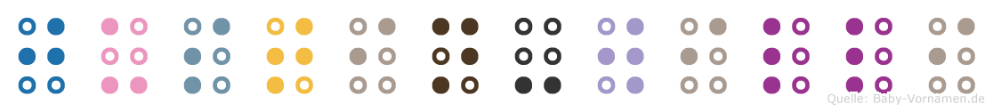 Justin-Willi in Blindenschrift (Brailleschrift)