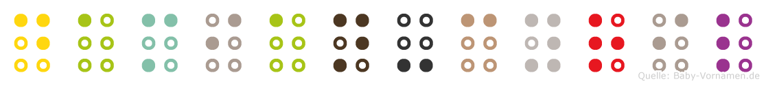 Damian-Cyril in Blindenschrift (Brailleschrift)