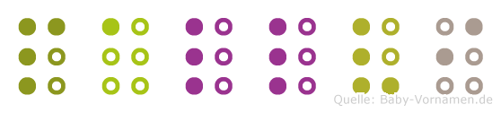 Pallvi in Blindenschrift (Brailleschrift)