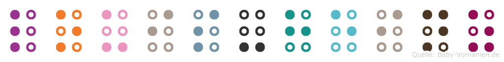 Louis-Heinz in Blindenschrift (Brailleschrift)