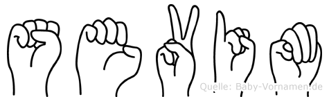 Sevim im Fingeralphabet der Deutschen Gebärdensprache