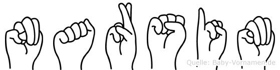 Narsim im Fingeralphabet der Deutschen Gebärdensprache