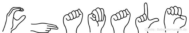 Chamale im Fingeralphabet der Deutschen Gebärdensprache
