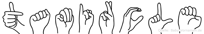 Tamircle im Fingeralphabet der Deutschen Gebärdensprache