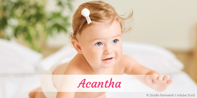 Baby mit Namen Acantha