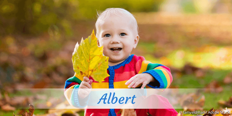 Baby mit Namen Albert