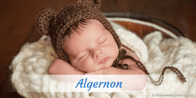 Baby mit Namen Algernon