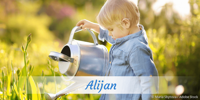 Baby mit Namen Alijan
