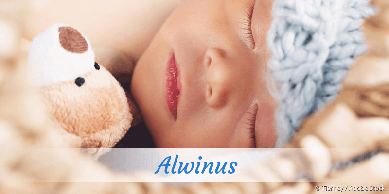 Baby mit Namen Alwinus
