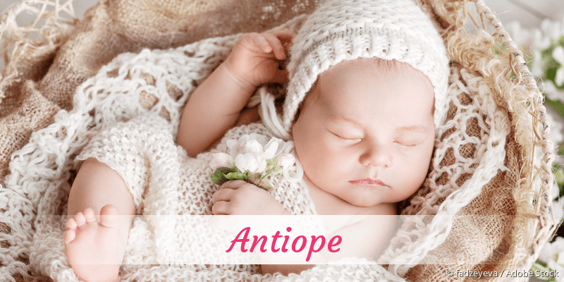 Baby mit Namen Antiope