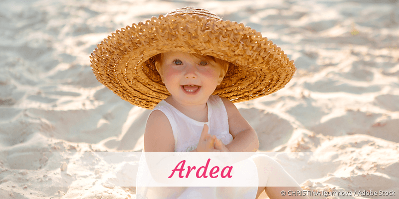Baby mit Namen Ardea