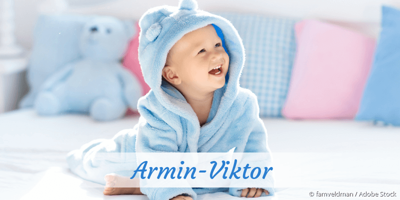 Baby mit Namen Armin-Viktor